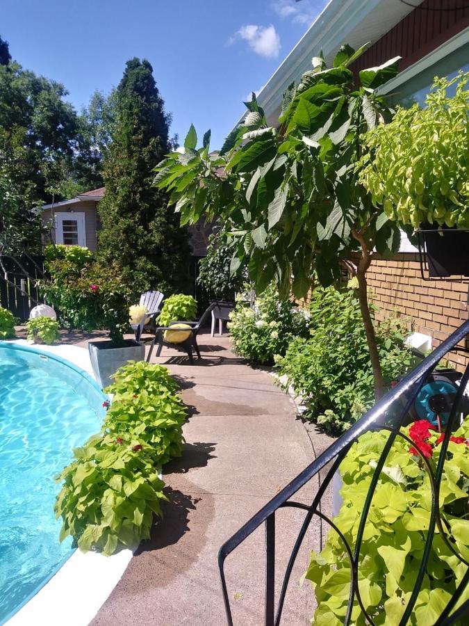 Gite Chez Baza Bed & Breakfast
